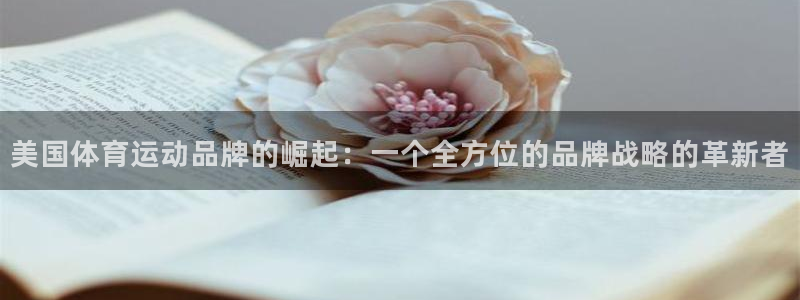 米兰体育官网下载平台:美国体育运动品牌的崛起:一个全方位的品